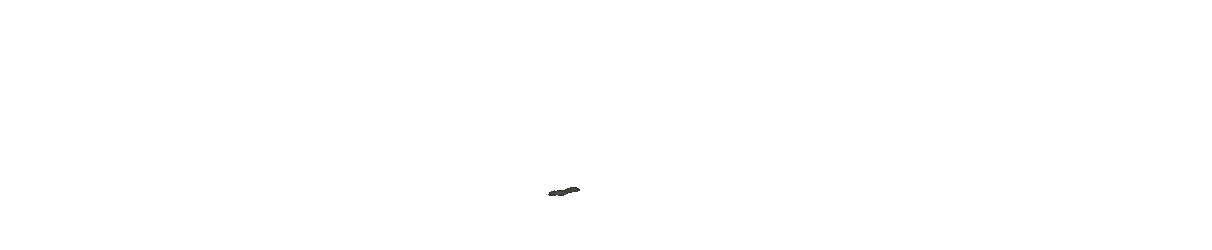 RajaScatter88